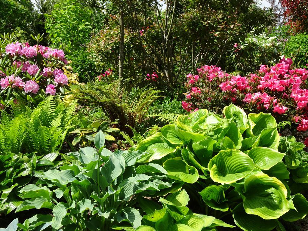 Le Clos Saint-Gilles Ardevon ภายนอก รูปภาพ